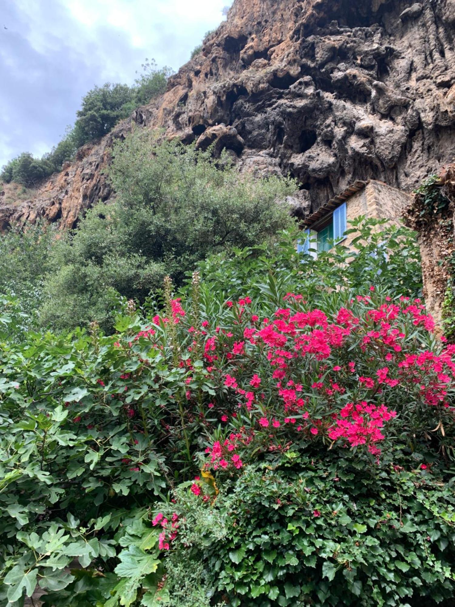 הוילה קוטיניאק Tivoli En Provence מראה חיצוני תמונה