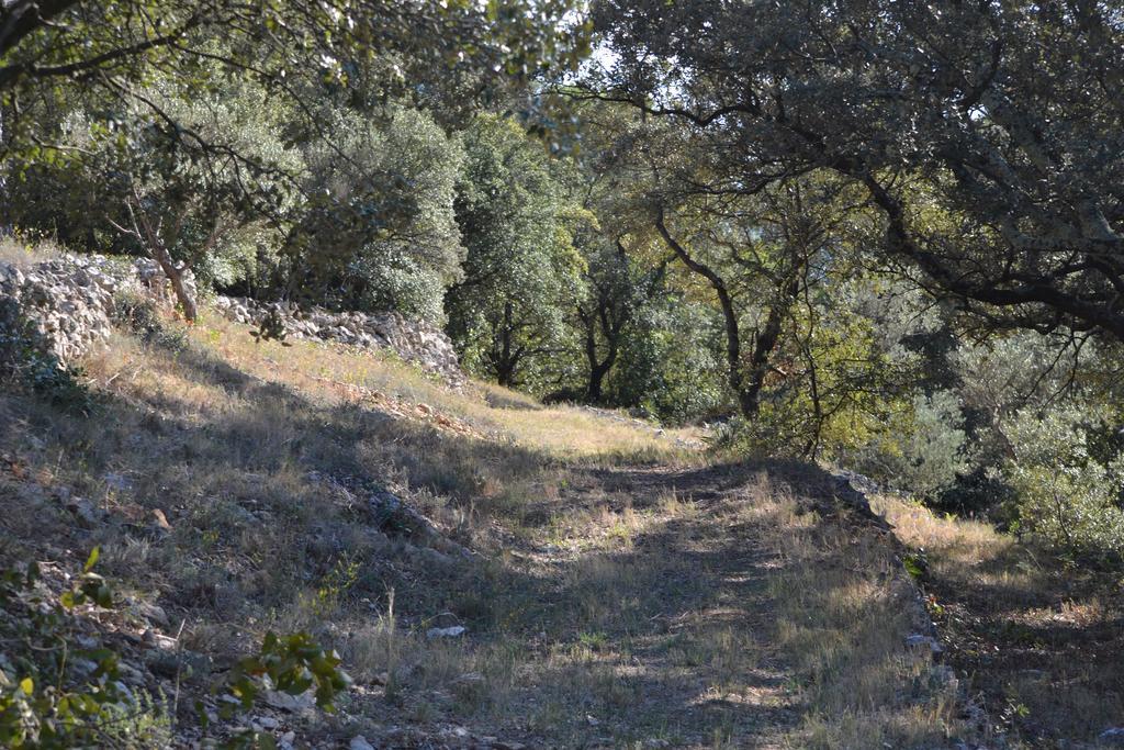הוילה קוטיניאק Tivoli En Provence מראה חיצוני תמונה